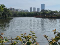 -深圳龙潭公园