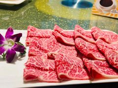 -顺轩海鲜火锅酒家