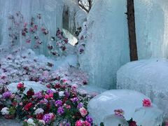-洛阳白云山景区