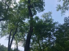 -永定河休闲森林公园