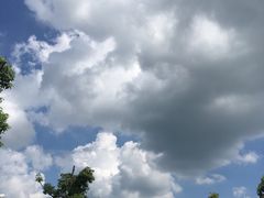 -明珠湖天鹅苑·农家菜馆