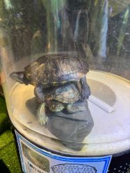 -酷嗒动物文化乐园(cutezoo西溪乐天城店)