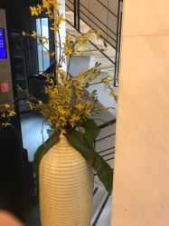 点击看大图 -萌诺尊享(外滩店)