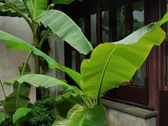 -苏州园林博物馆
