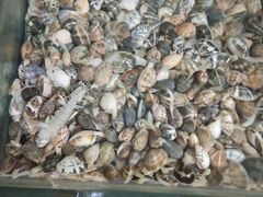-田记自助海鲜饺子