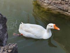 -洛阳市隋唐城遗址植物园
