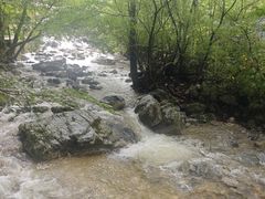 -牛背梁国家森林公园