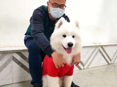 -星多哈·狗咖·拼豆·咖啡