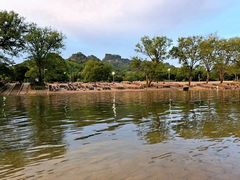 -九曲溪竹筏码头