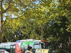 -北山街历史文化街区