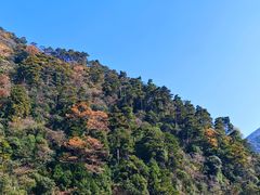 -东天目山风景区