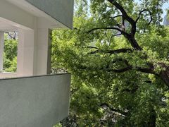 -湖北美术学院(昙华林校区)