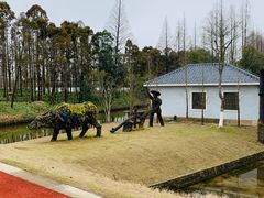 -上海长兴岛郊野公园