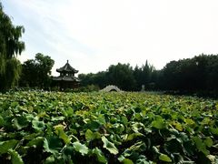 -莲池书院博物馆