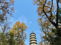 -灵谷景区