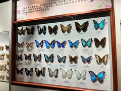 -吉林省自然博物馆