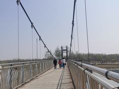 -西青郊野公园