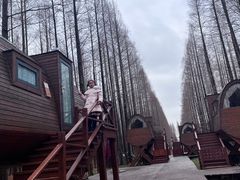 -黄海国家森林公园