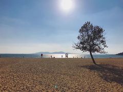 -青岛第一海水浴场
