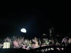 -禅宗少林·音乐大典