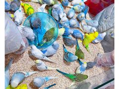 -三旗百汇商品城