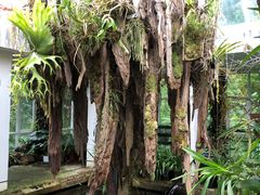 -昆明植物园