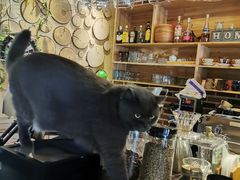 -初见咖啡(青大路店)