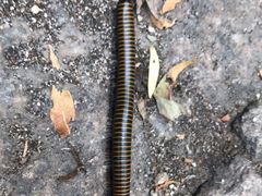 -碓臼峪自然风景区