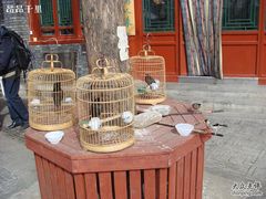 门口的鸟笼-东兴顺爆肚张