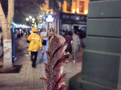 -炭之家·齐齐哈尔非遗烤肉·鲜切直供(中央大街店)