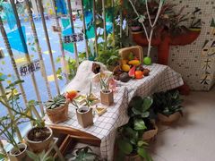 -育星南雅苑幼儿园