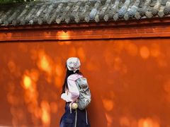 -少华山国家森林公园