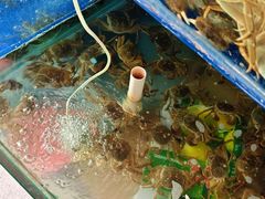 -阳澄湖大闸蟹·琼灵阁牌品牌连锁(吴中总店)