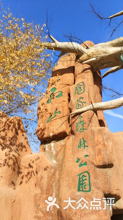 红山国家森林公园-图片-赤峰周边游-大众点评网