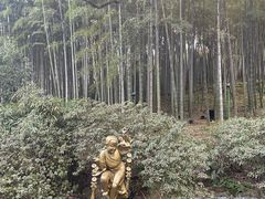 -杭州黄龙洞
