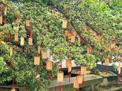 -东山雕花楼