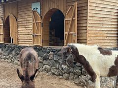 -HERRE·FARM 赫尔露营农场·团建聚会包场