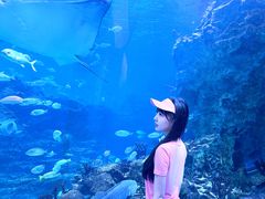 -海合安成都极地海洋公园