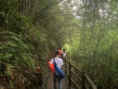-阿依河景区