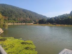 -九鲤湖风景区