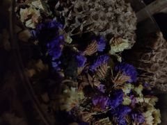 -斯多格书乡(北京大学畅春园店)