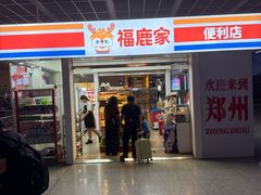 -郑州东站