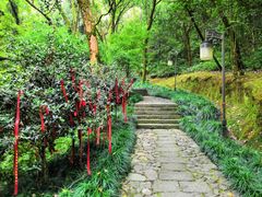 -梦姑塘文化公园