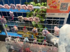 -涿派·炝锅鱼(涿州店)
