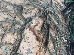 -小格里自然风景区