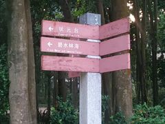 -广州市帽峰山景区