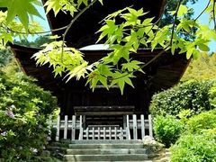 -常寂光寺
