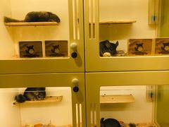 -龙猫仔乐园(惠福东路店)