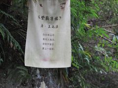 -天姥山景区