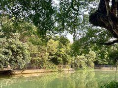-小洲村